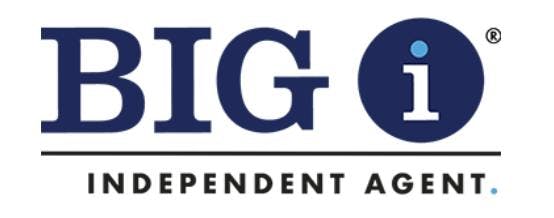 Big I logo